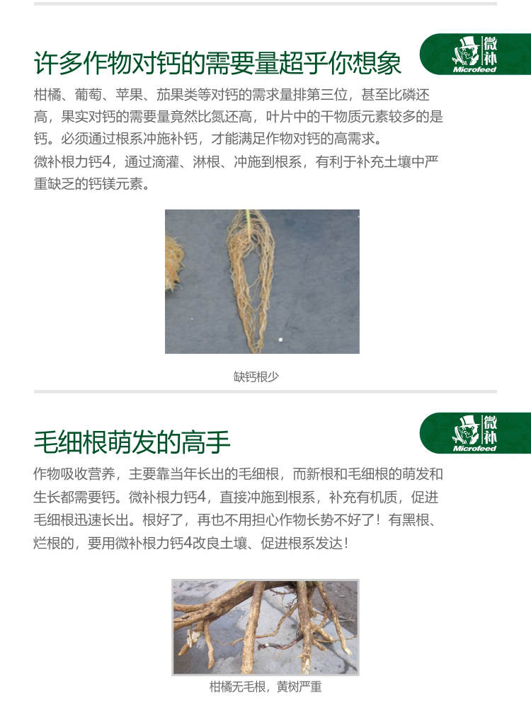 微補(bǔ)根力鈣4