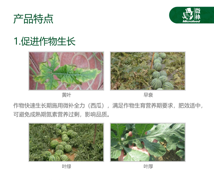 微補(bǔ)全力西瓜1kg