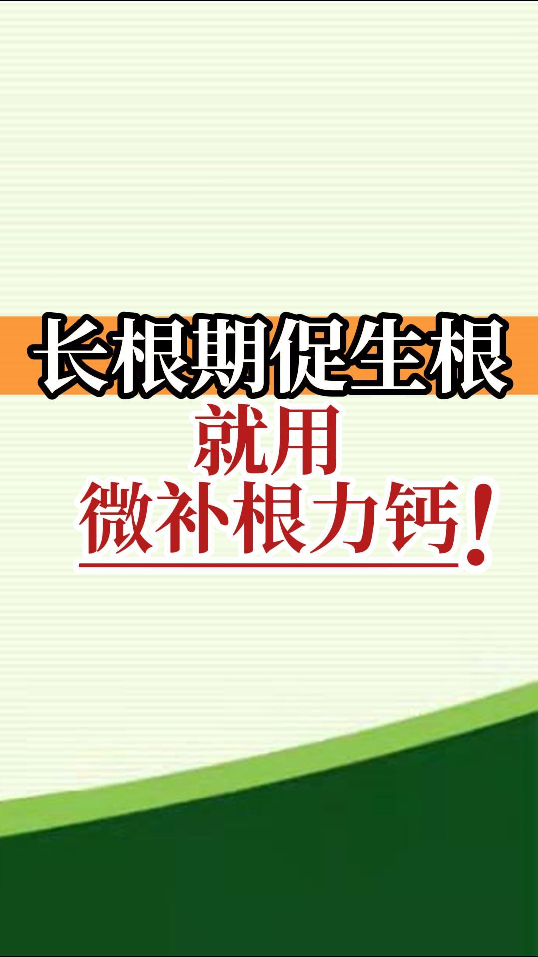 長(zhǎng)根期促生根就用微補(bǔ)根力鈣！