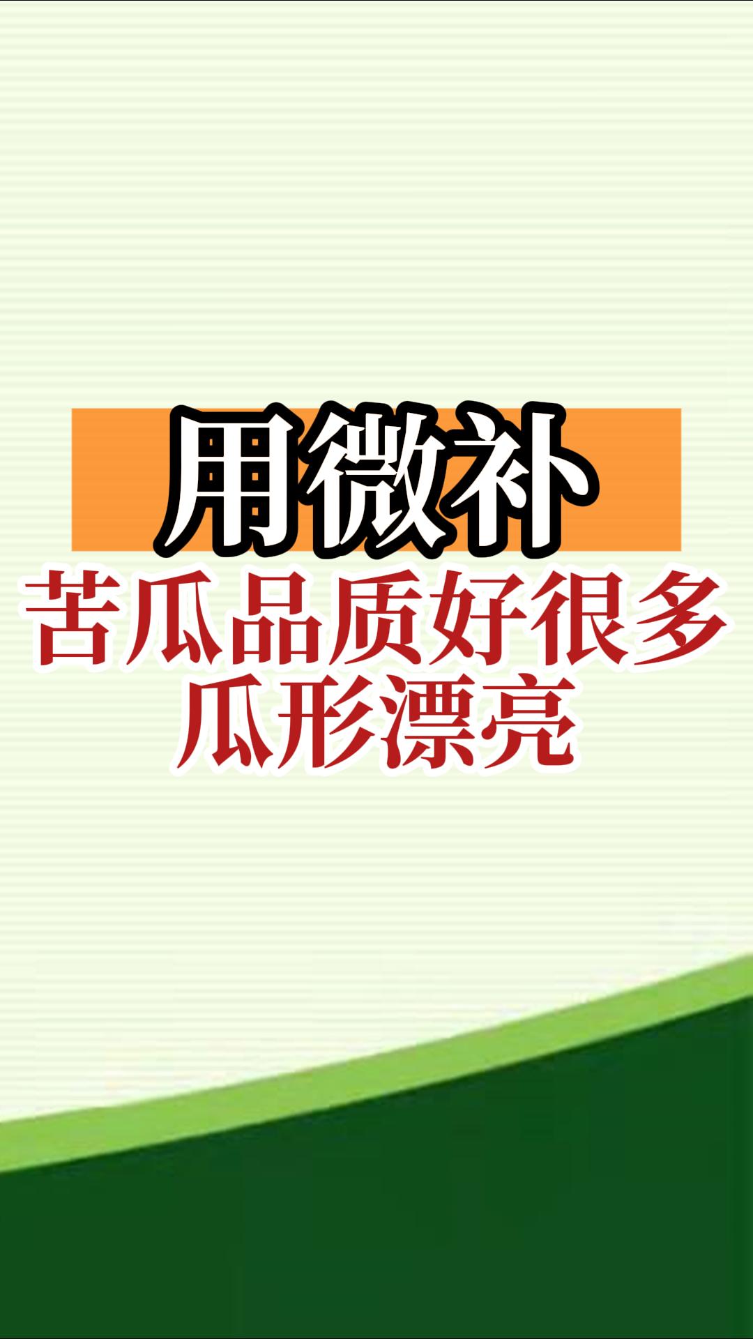 用微補(bǔ)，苦瓜品質(zhì)好很多，瓜形漂亮