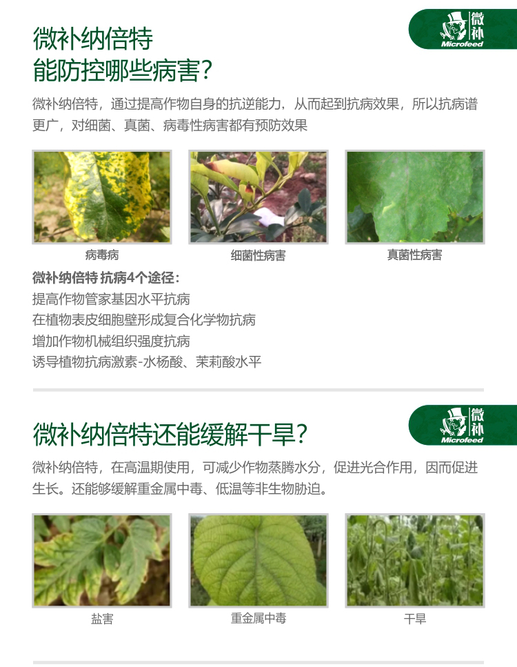 微補(bǔ)納倍特