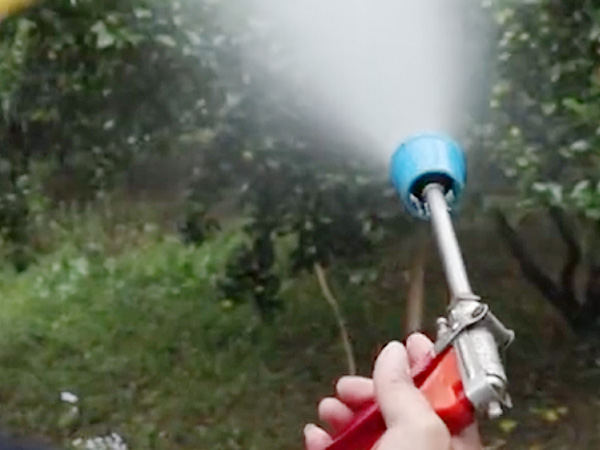 如何做好冬季清園，減少來年病蟲害影響