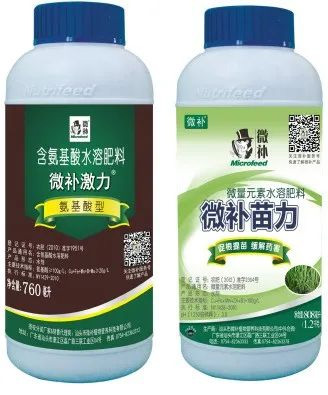 讓作物安全過(guò)冬的實(shí)用小妙招，速看