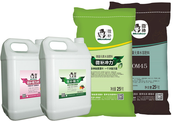 一月份柑橘管理