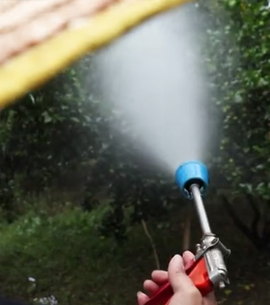 如何做好冬季清園，減少來年病蟲害影響