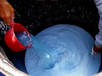 如何做好冬季清園，減少來年病蟲害影響