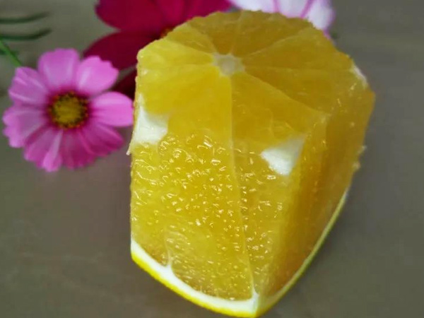 震驚！施秋肥還會影響果實(shí)賣價(jià)？