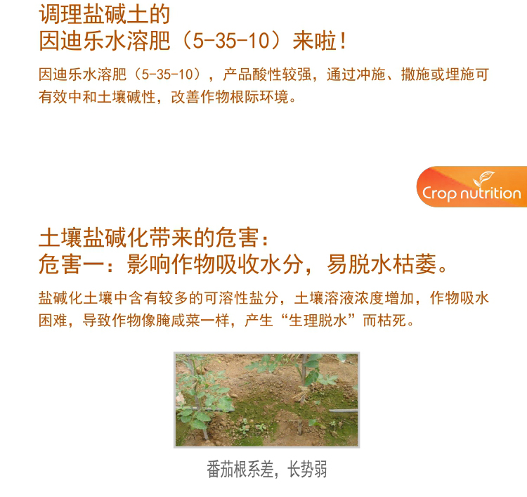 因迪樂水溶肥5-35-10