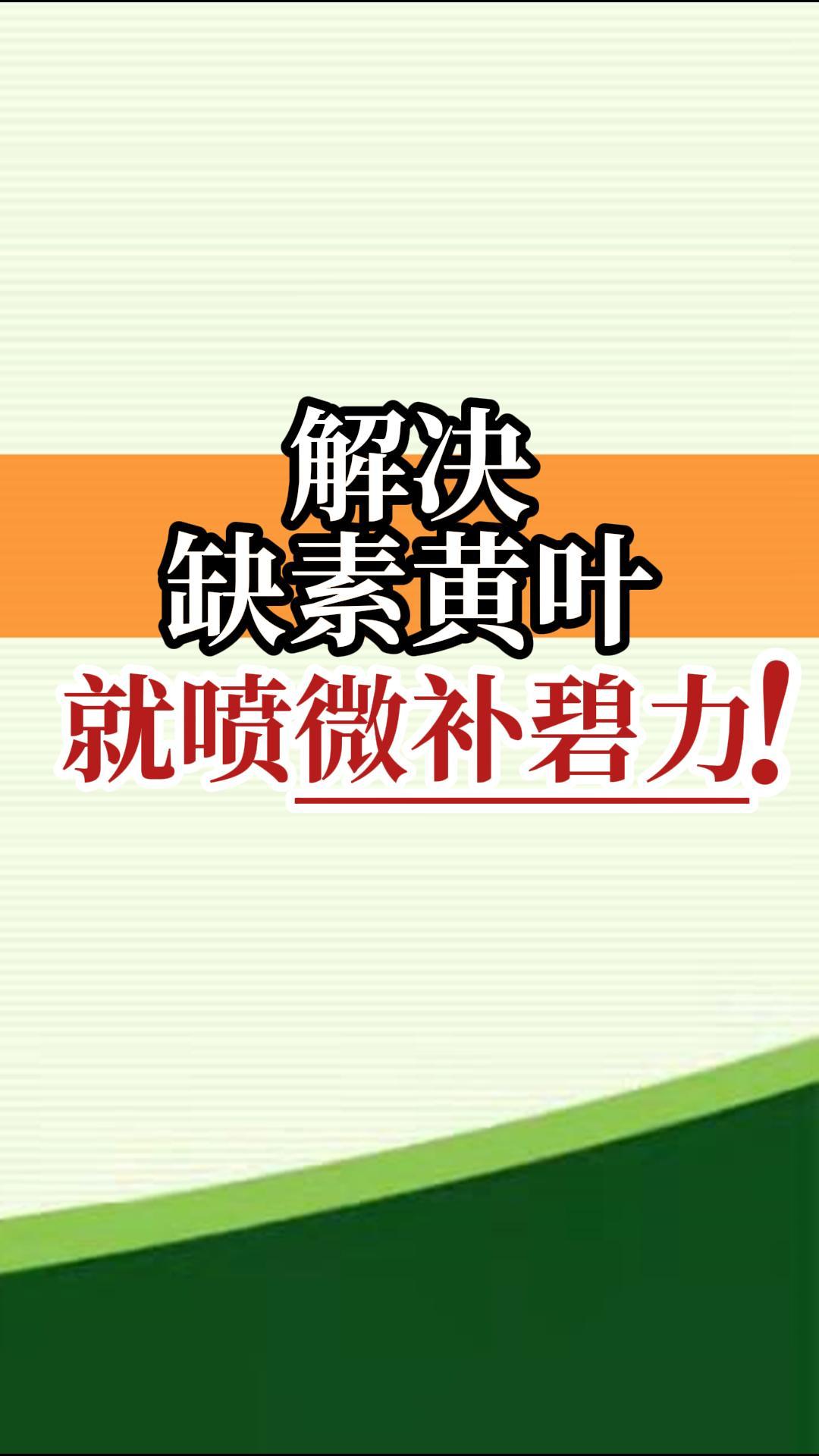 解決缺素黃葉就噴微補(bǔ)碧力！