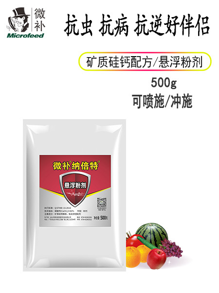 微補(bǔ)納倍特