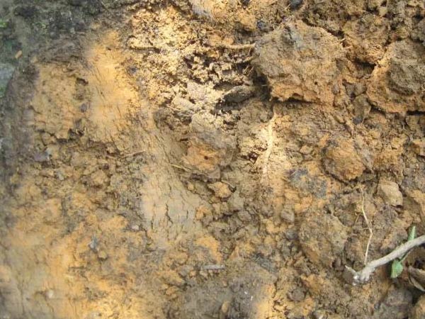 微補(bǔ)三級(jí)火箭方案有如此神奇功效？