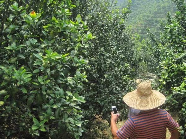 微補(bǔ)三級(jí)火箭方案有如此神奇功效？