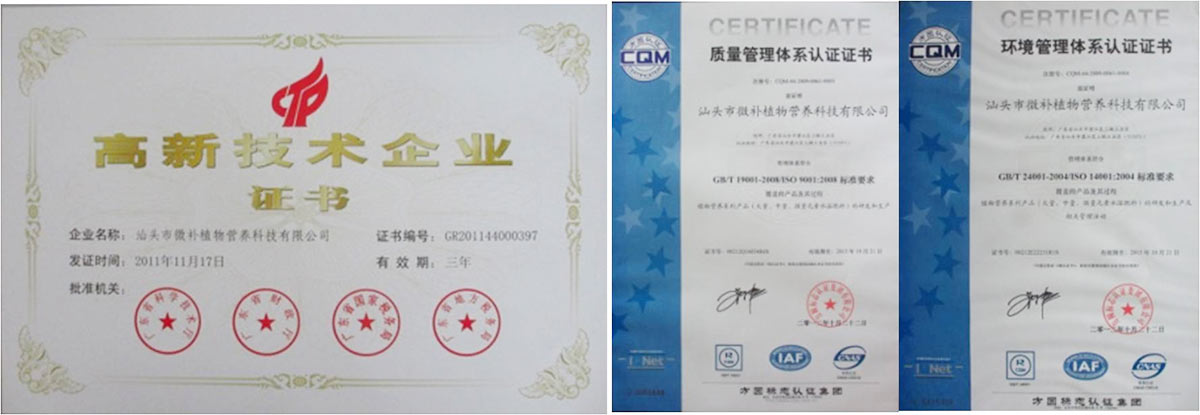 微補(bǔ)簡(jiǎn)介