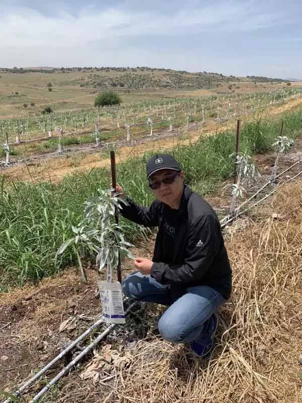 深度思考：我們到底應(yīng)該向以色列農(nóng)業(yè)學(xué)習(xí)什么？