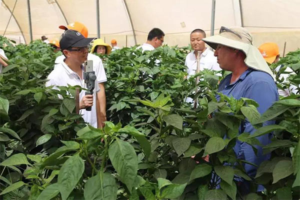 深度思考：我們到底應(yīng)該向以色列農(nóng)業(yè)學(xué)習(xí)什么？