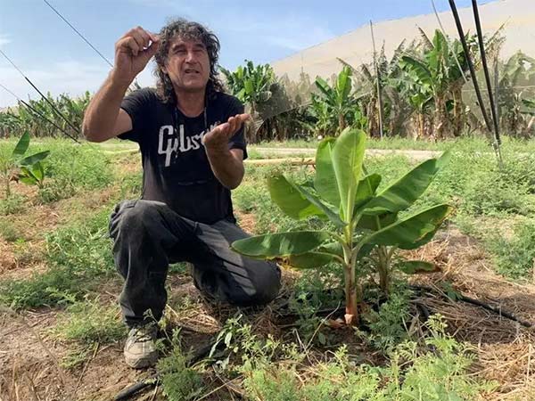 深度思考：我們到底應(yīng)該向以色列農(nóng)業(yè)學(xué)習(xí)什么？